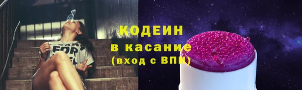 СК Инта