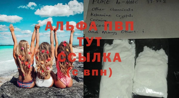 СК Инта