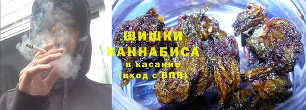 СК Инта