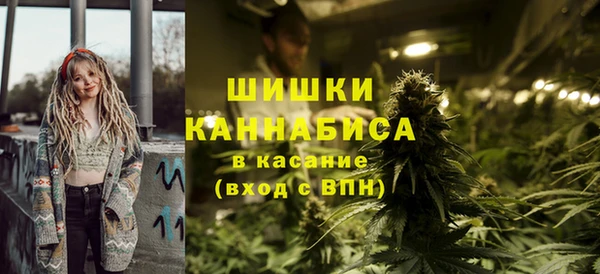 СК Инта