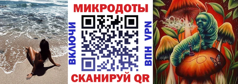 Купить где  Жердевка  Псилоцибиновые грибы MAGIC MUSHROOMS 